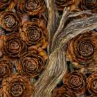 USA, Washington State, Seabeck. Cedar cones and driftwood. Art Print